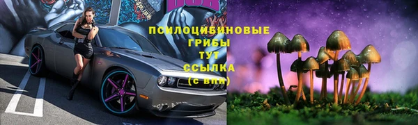 экстази Алексин